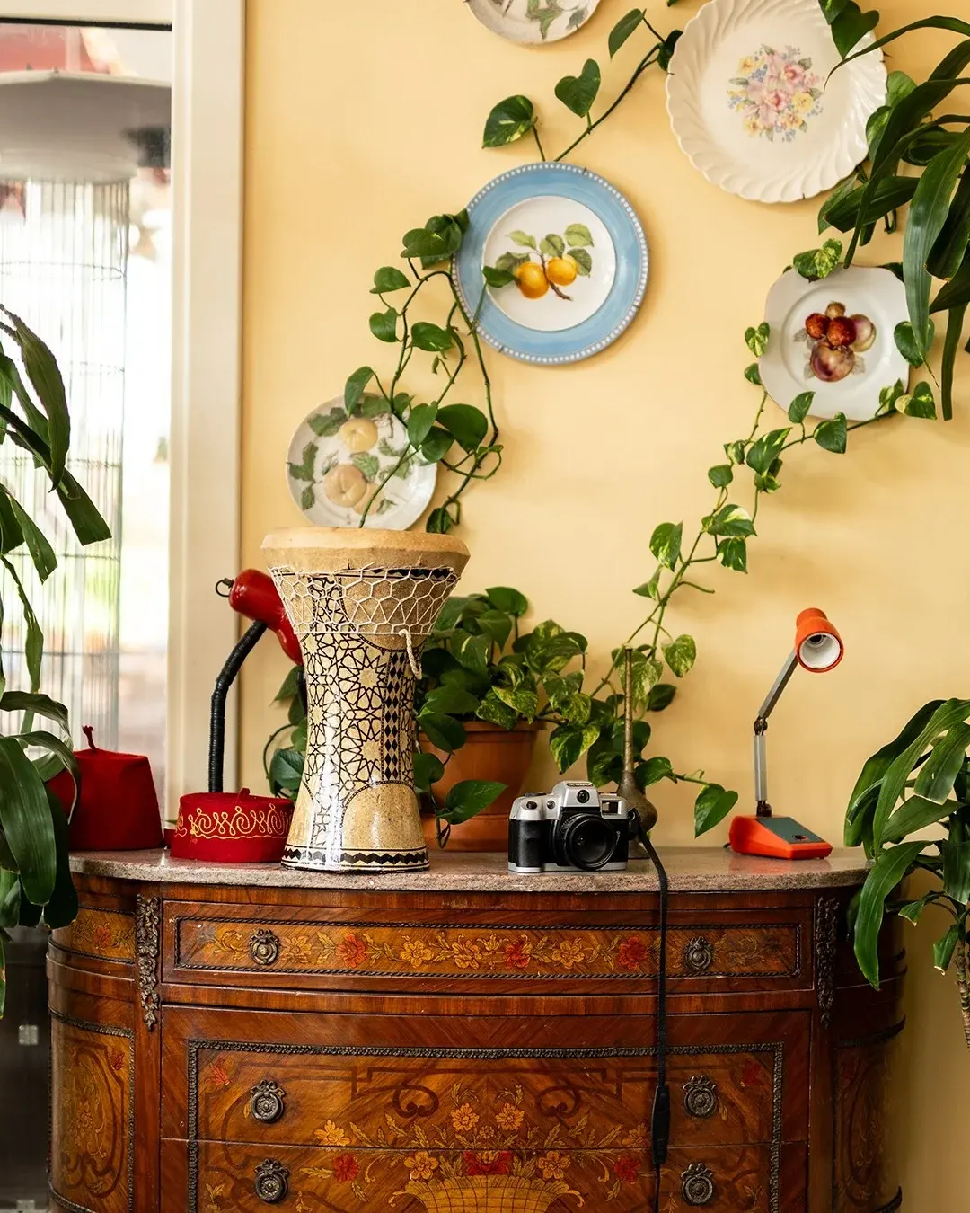 Plates and plants on the painted cabinet, Al Falamanki Doha