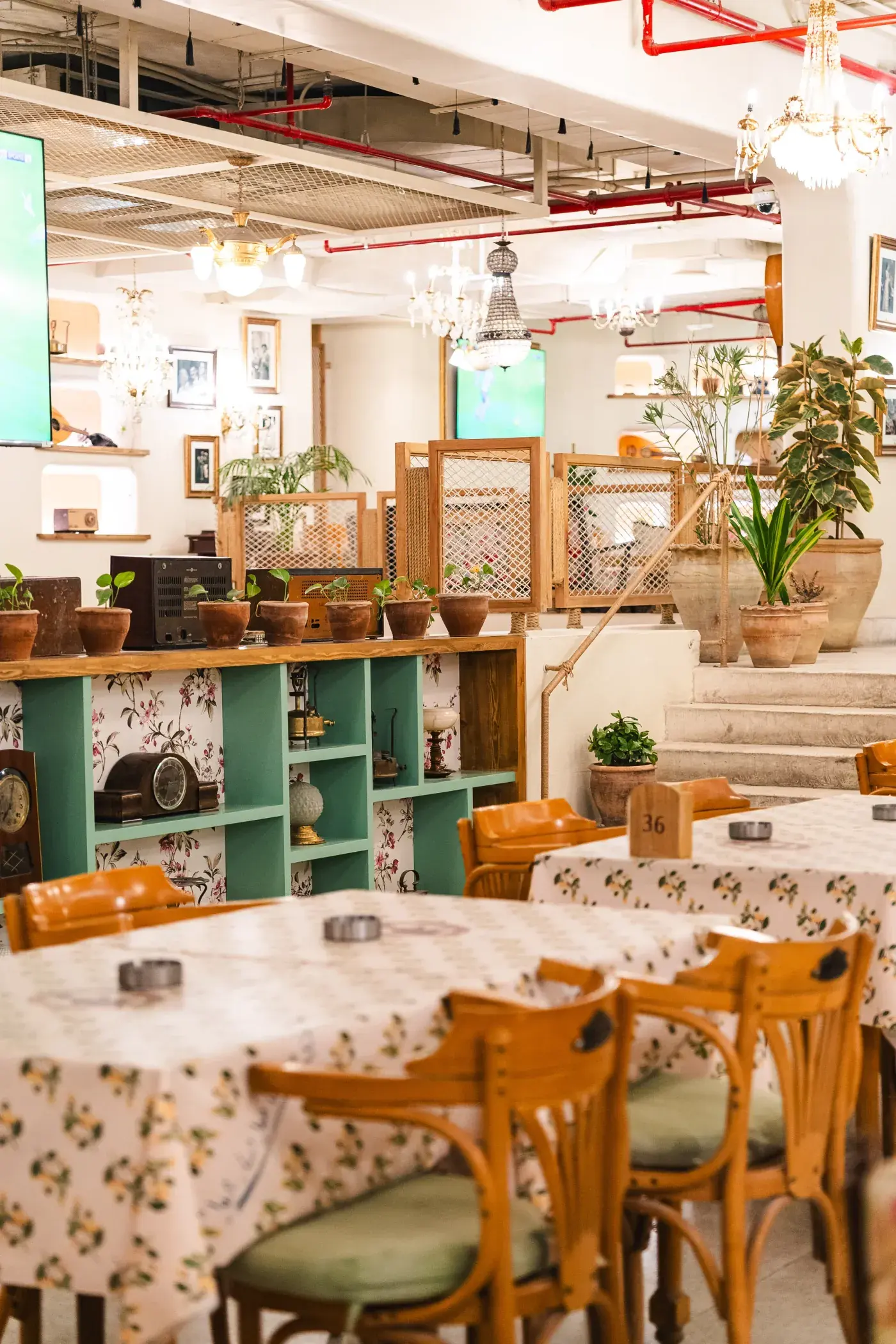 Shelves of plants and pottery above the tables, Al Falamanki Riyadh