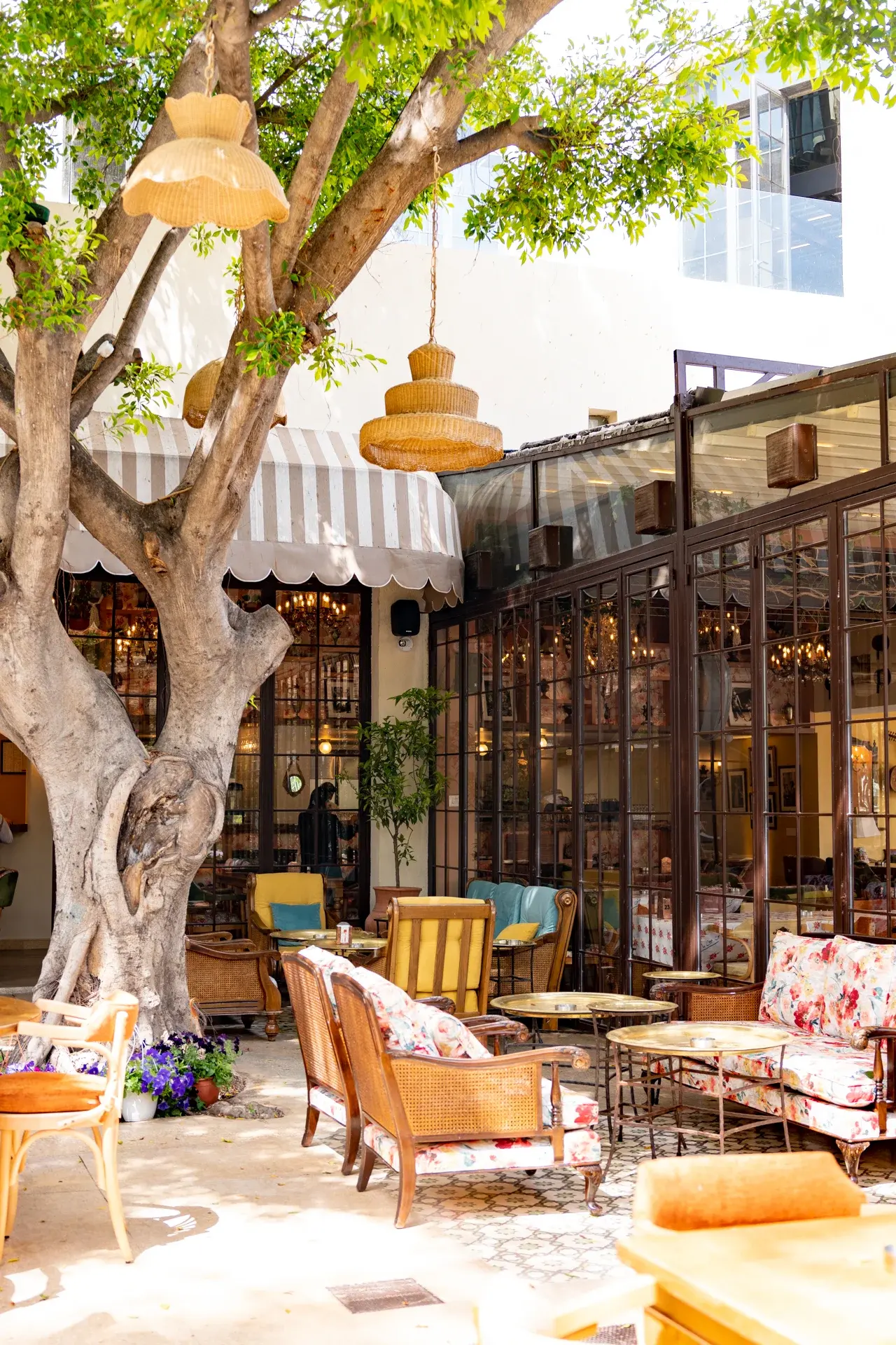 Garden seating under an old tree, Al Falamanki Antelias