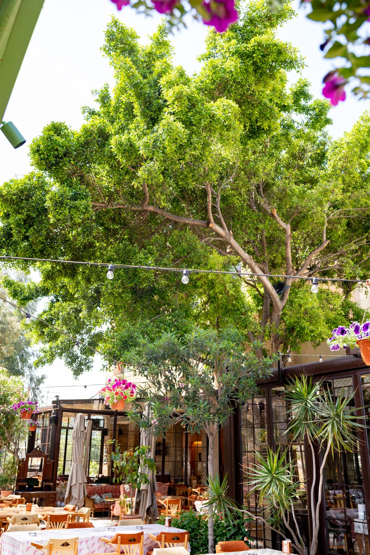 Lanterns and greenery over the garden terrace, Al Falamanki Antelias