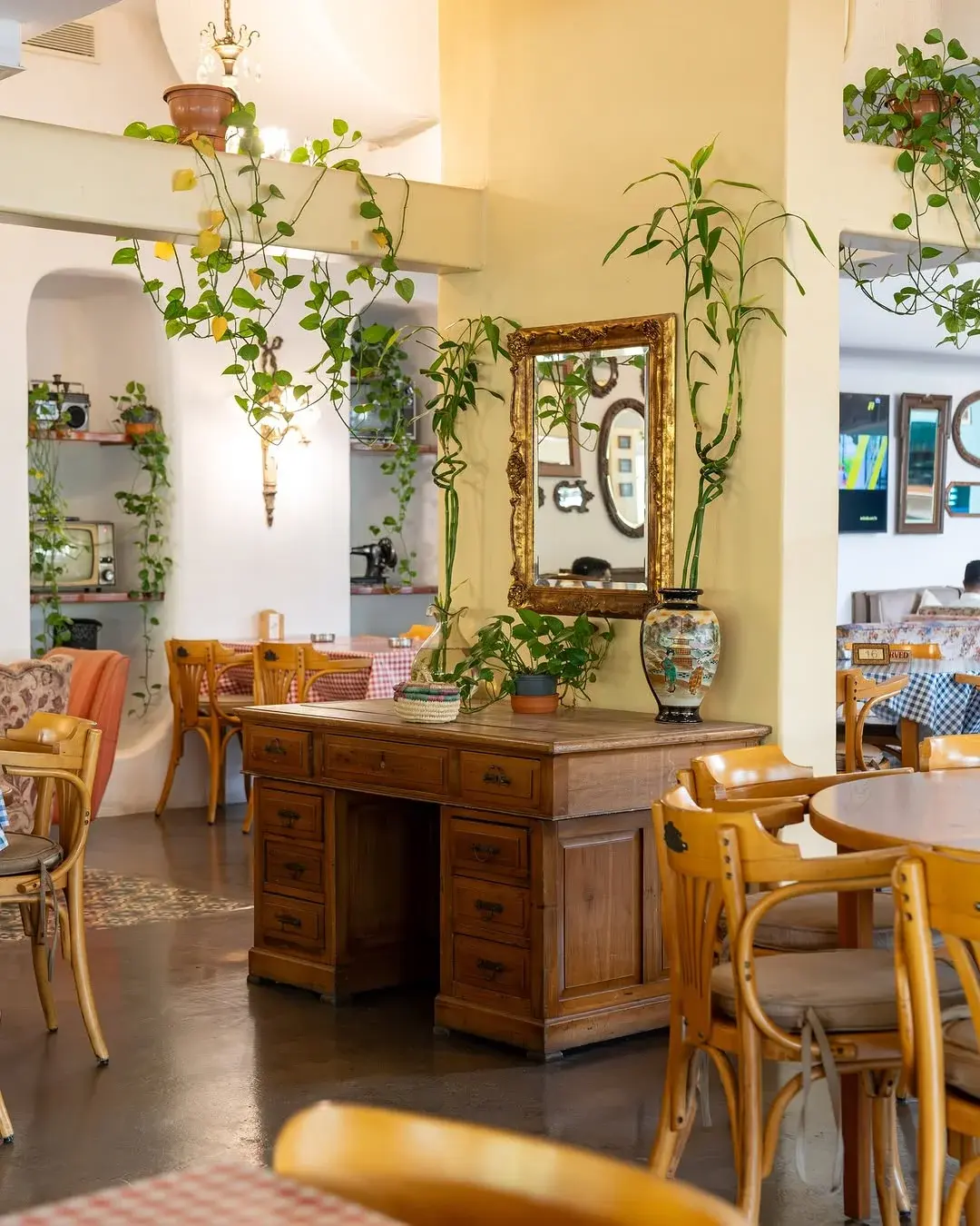 Teal shelves, a wooden desk and potted plants, Al Falamanki Doha